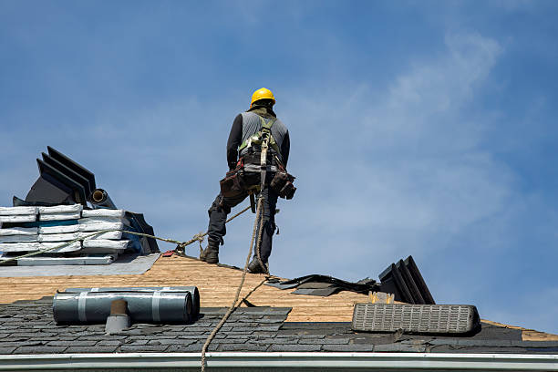 Professional Storm Damage Roof Repair technician working in Maple Park, IL
